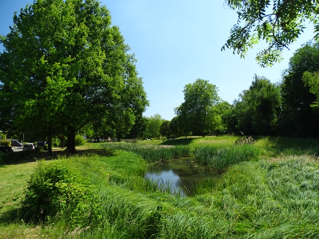 Een vijver aanleggen in je tuin 